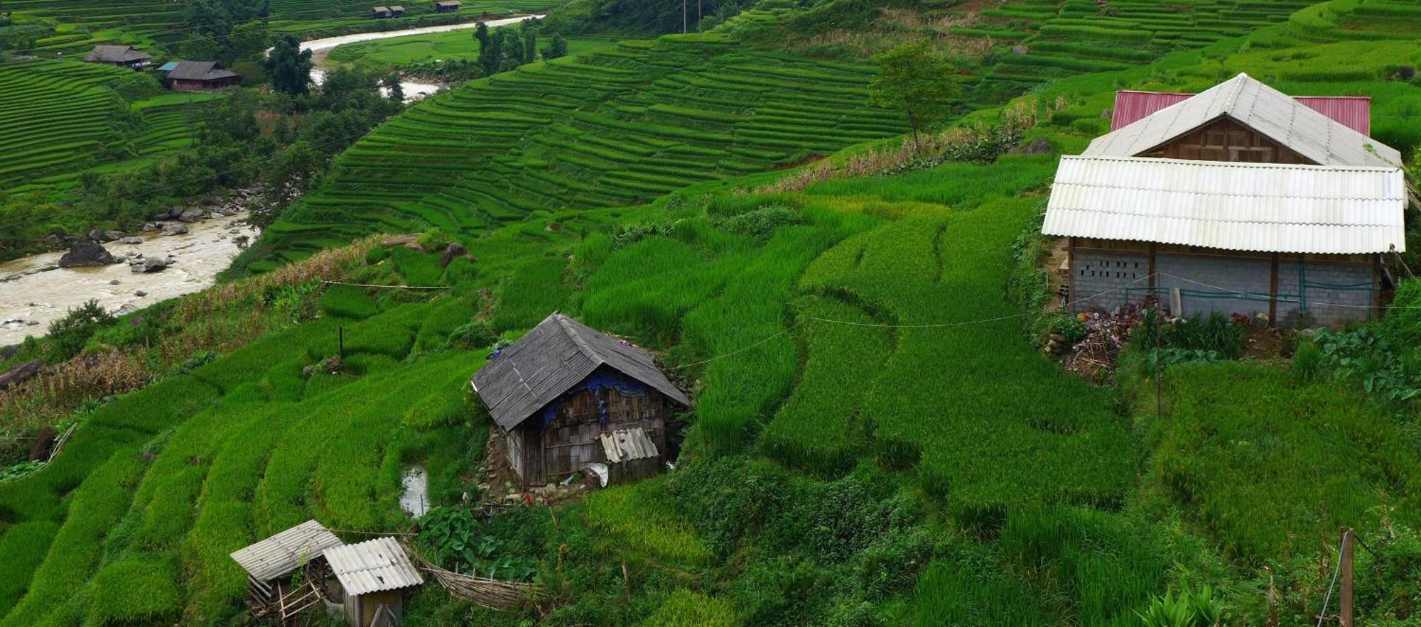 Freedom Homestay & Trekking 사파 외부 사진