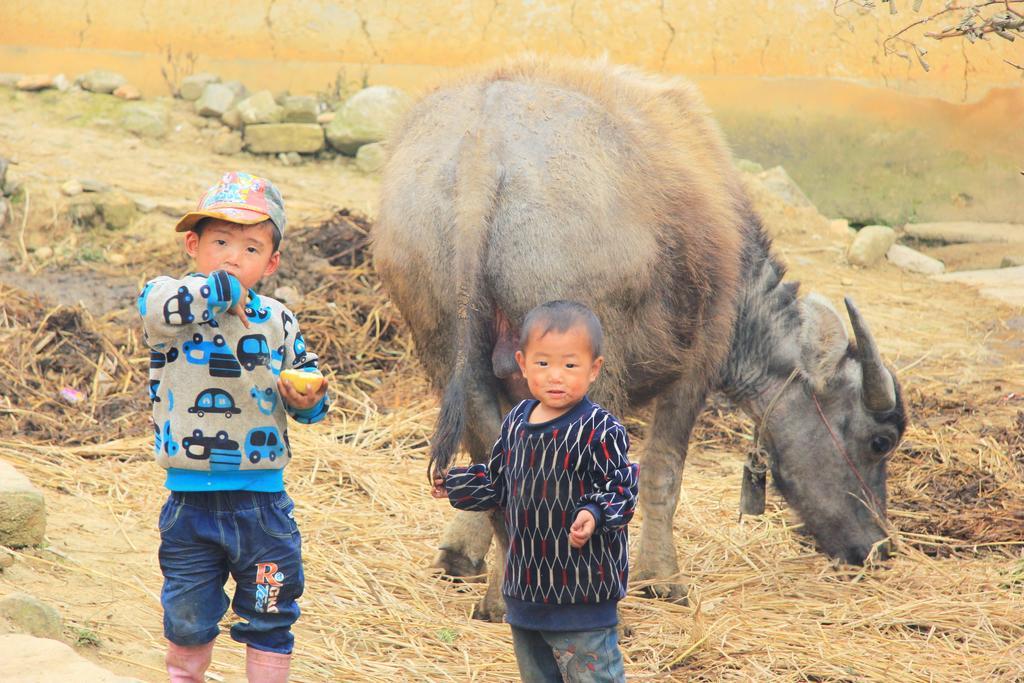 Freedom Homestay & Trekking 사파 외부 사진