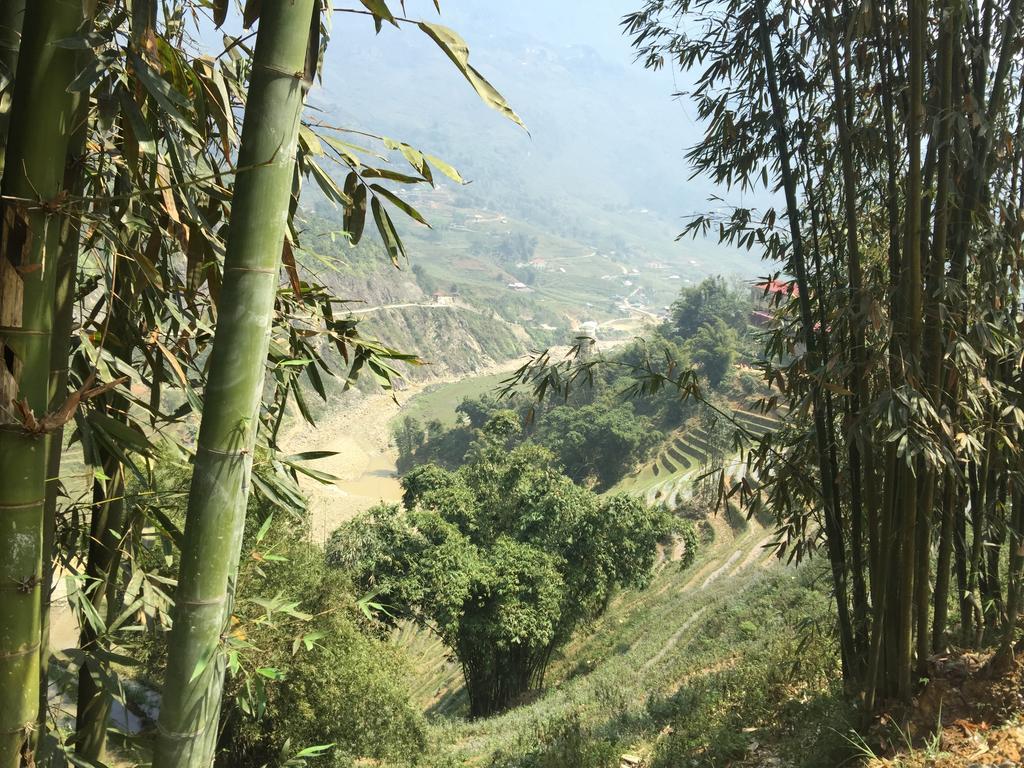 Freedom Homestay & Trekking 사파 외부 사진