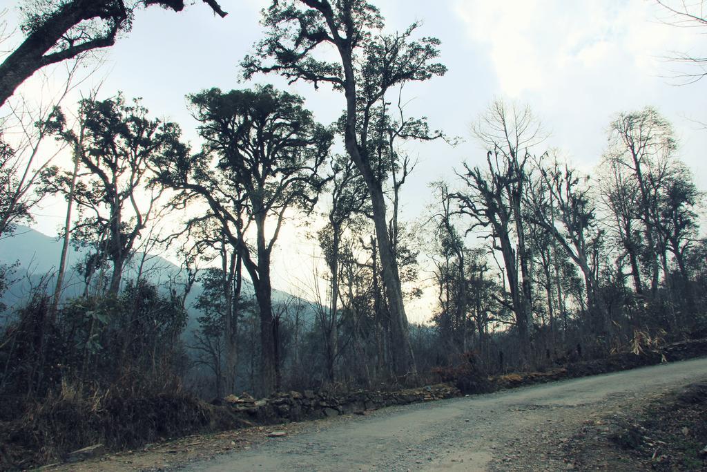 Freedom Homestay & Trekking 사파 외부 사진