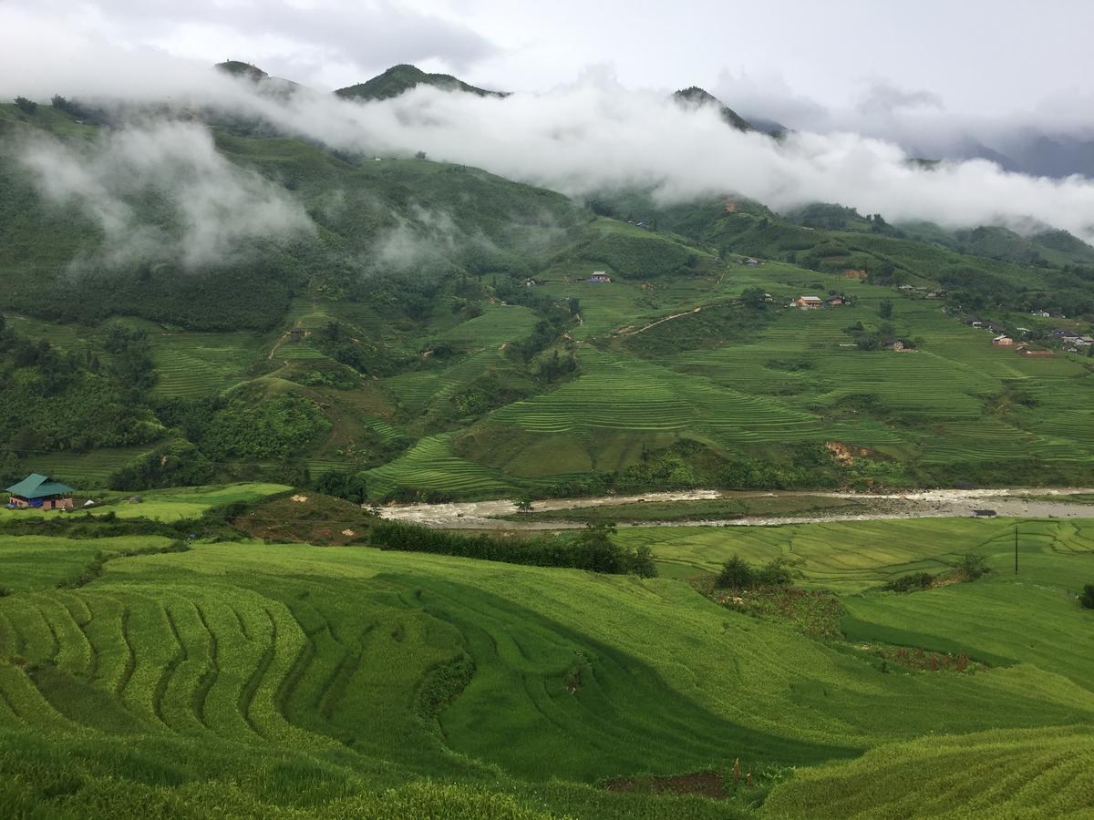 Freedom Homestay & Trekking 사파 외부 사진