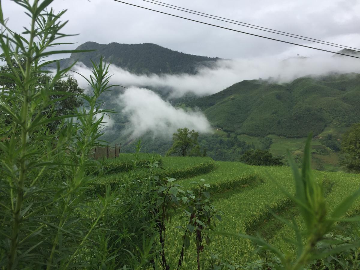 Freedom Homestay & Trekking 사파 외부 사진
