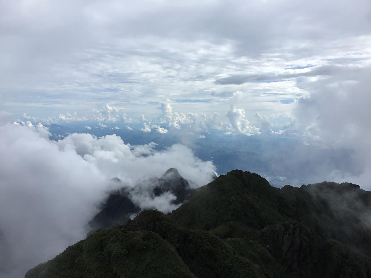 Freedom Homestay & Trekking 사파 외부 사진